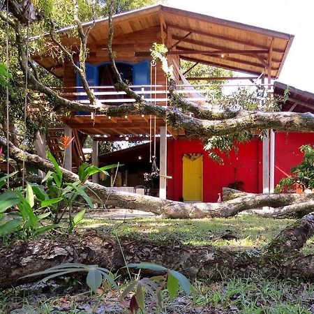 Casa Estilosa E Rustica Com Vista Para O Por Do Sol Da Ilha Do Mel! エクステリア 写真